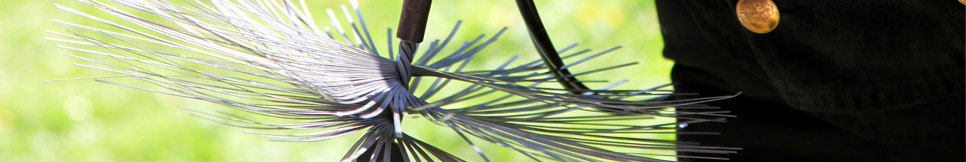 Banner - Thomas Ackermann